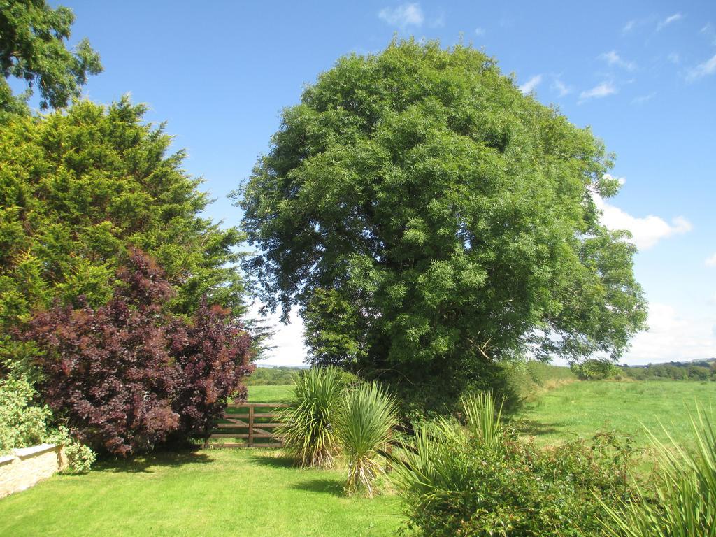 Tralia Farmhouse Self Catering Farranfore ภายนอก รูปภาพ