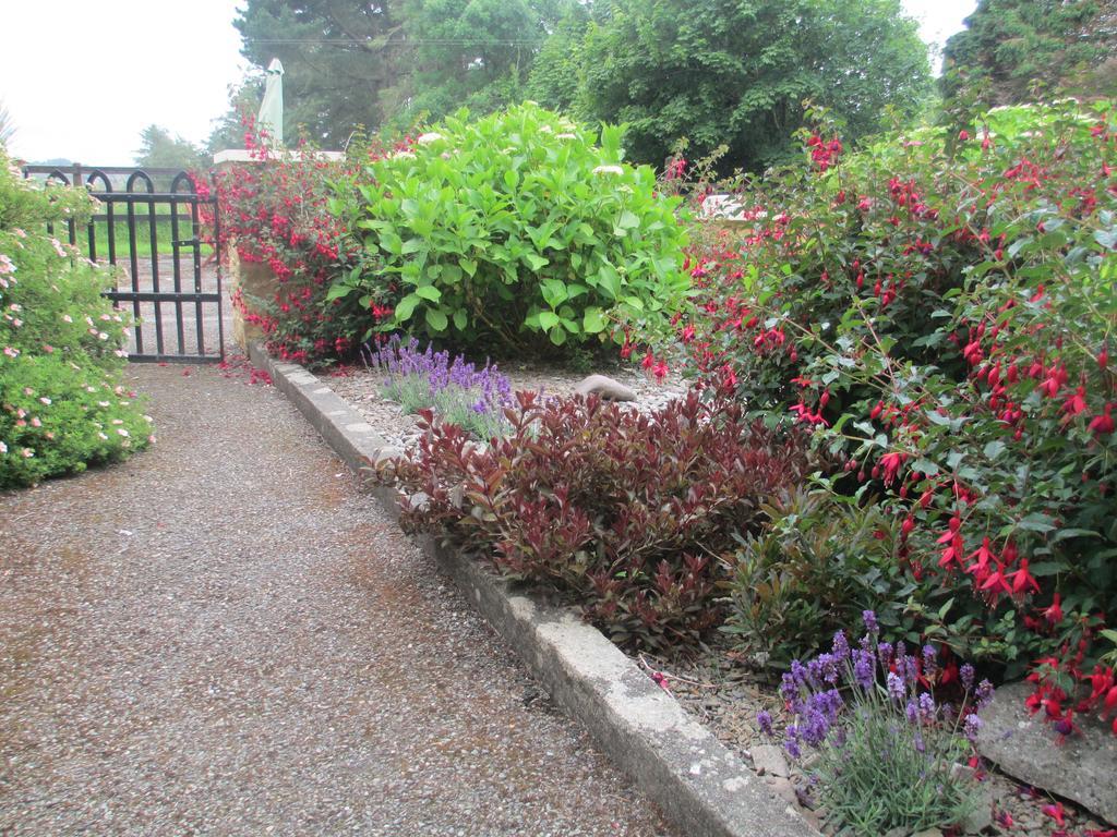 Tralia Farmhouse Self Catering Farranfore ห้อง รูปภาพ