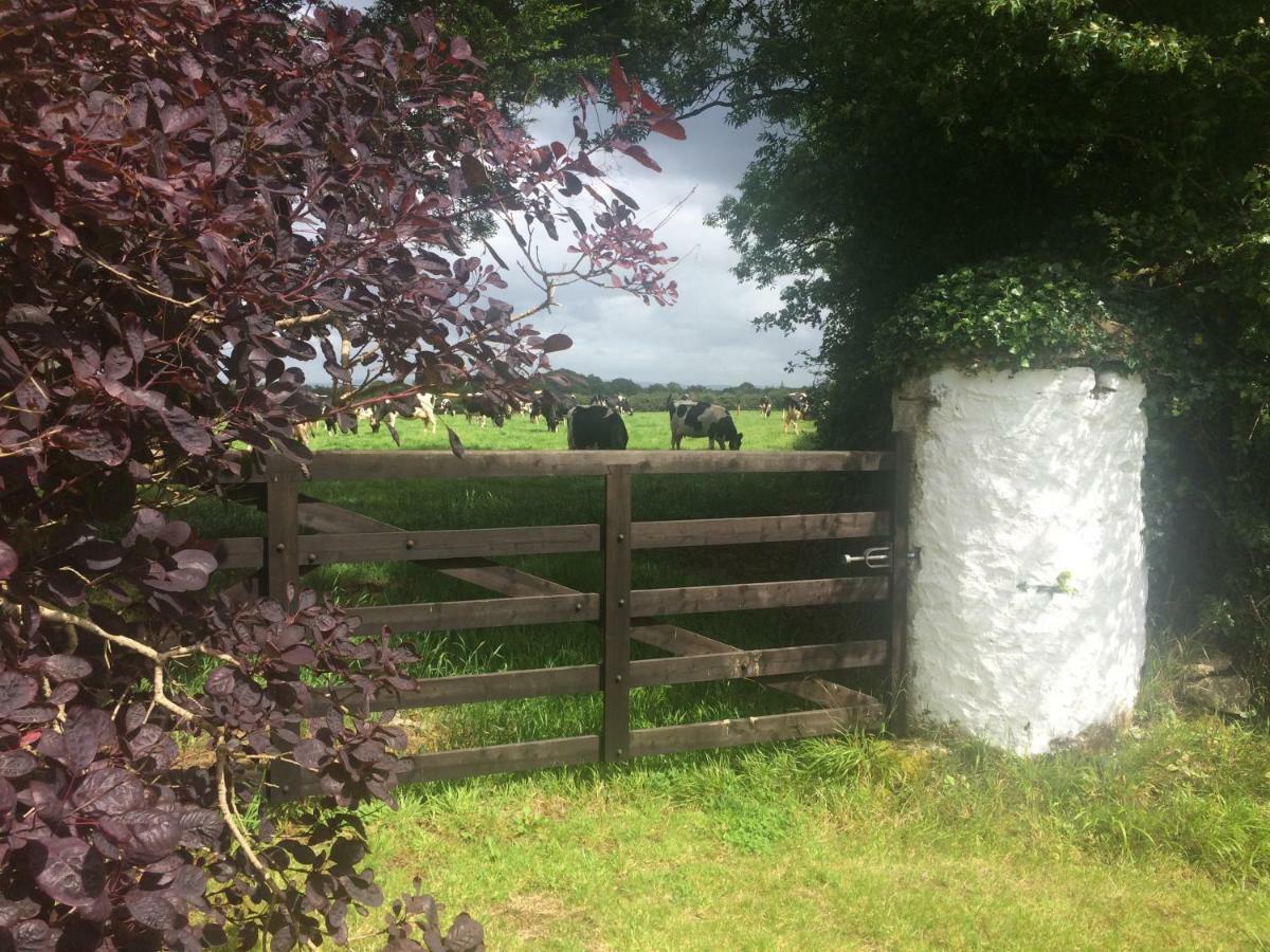 Tralia Farmhouse Self Catering Farranfore ภายนอก รูปภาพ